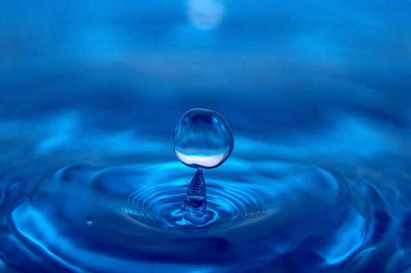 1481080053942297.jpg 1481080053942297.jpg